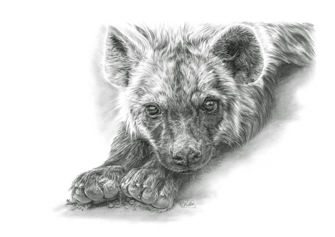 Juvenile Hyena